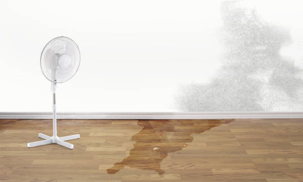 Best Commercial water damage restoration  in Lompoc, CA