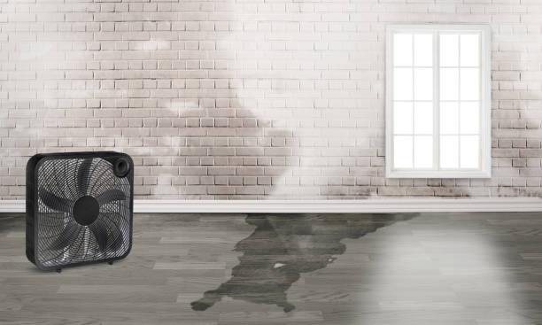 Best Carpet water damage restoration  in Lompoc, CA