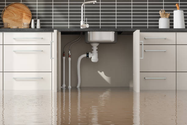Best Fire Damage Restoration  in Lompoc, CA