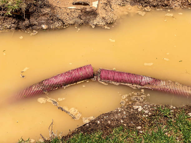 Best 24/7 water damage repair  in Lompoc, CA