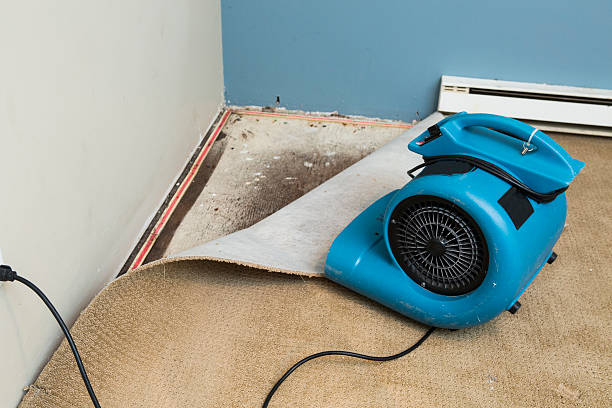 Water damage restoration experts in CA